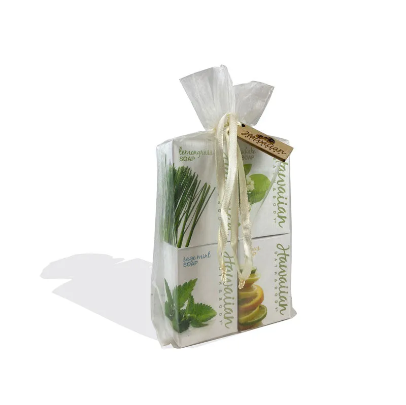 4 Soap Variety Gift Set