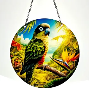 African Patagonian Conure Parrot Acrylic Suncatcher with Chain #SC538 by d'ears tropical bird gift colorful bird