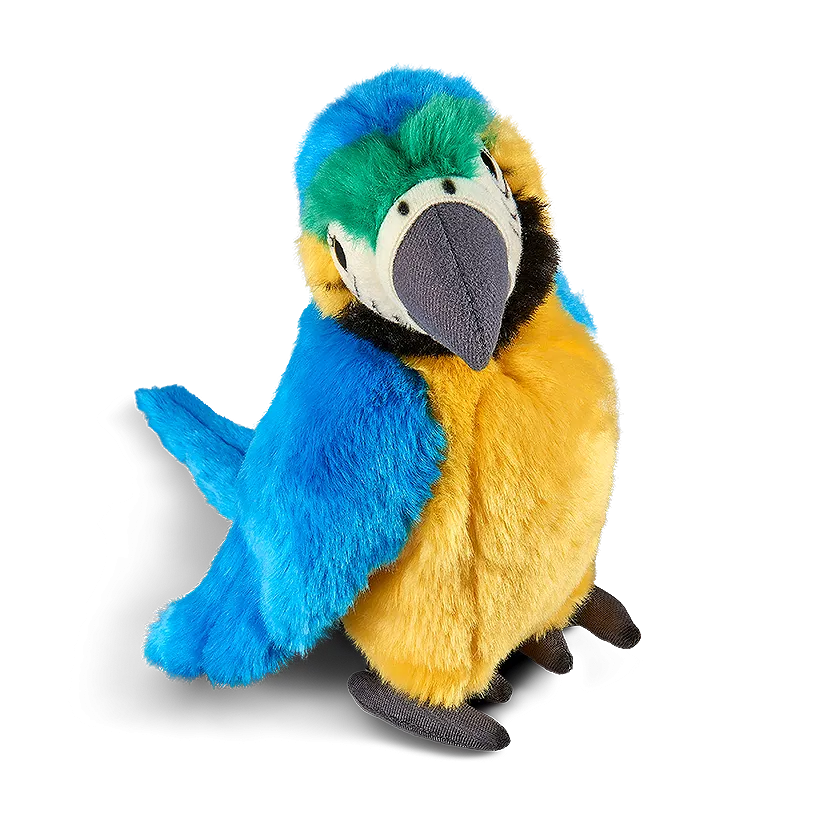 Blue Macaw Parrot