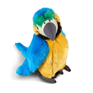 Blue Macaw Parrot