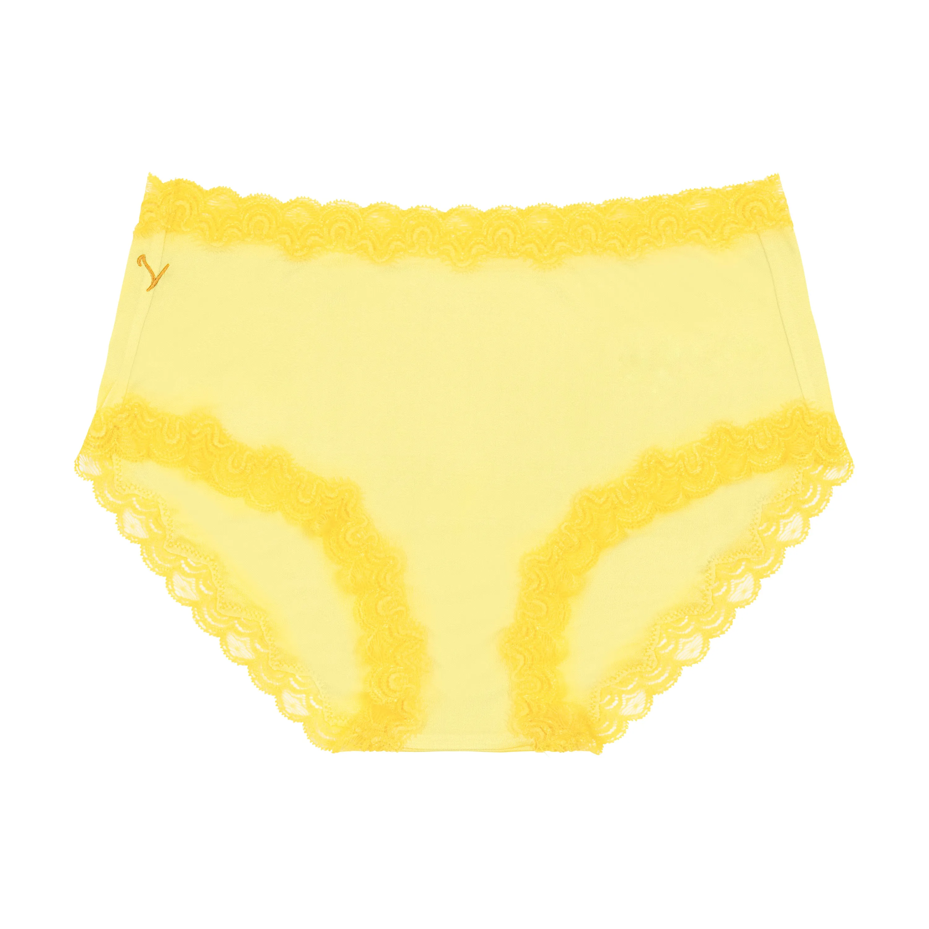 Customizable Soft Silk Briefs