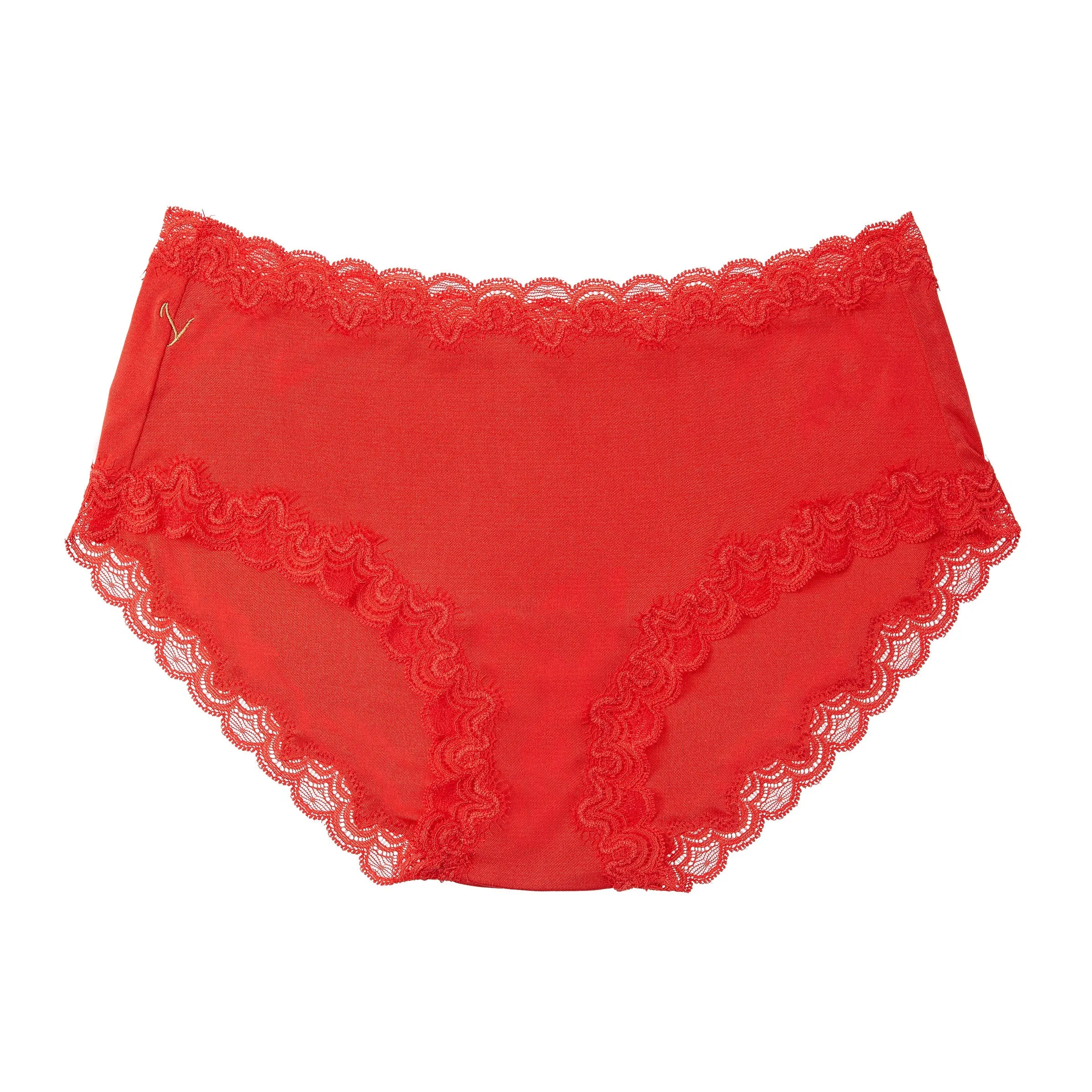 Customizable Soft Silk Briefs