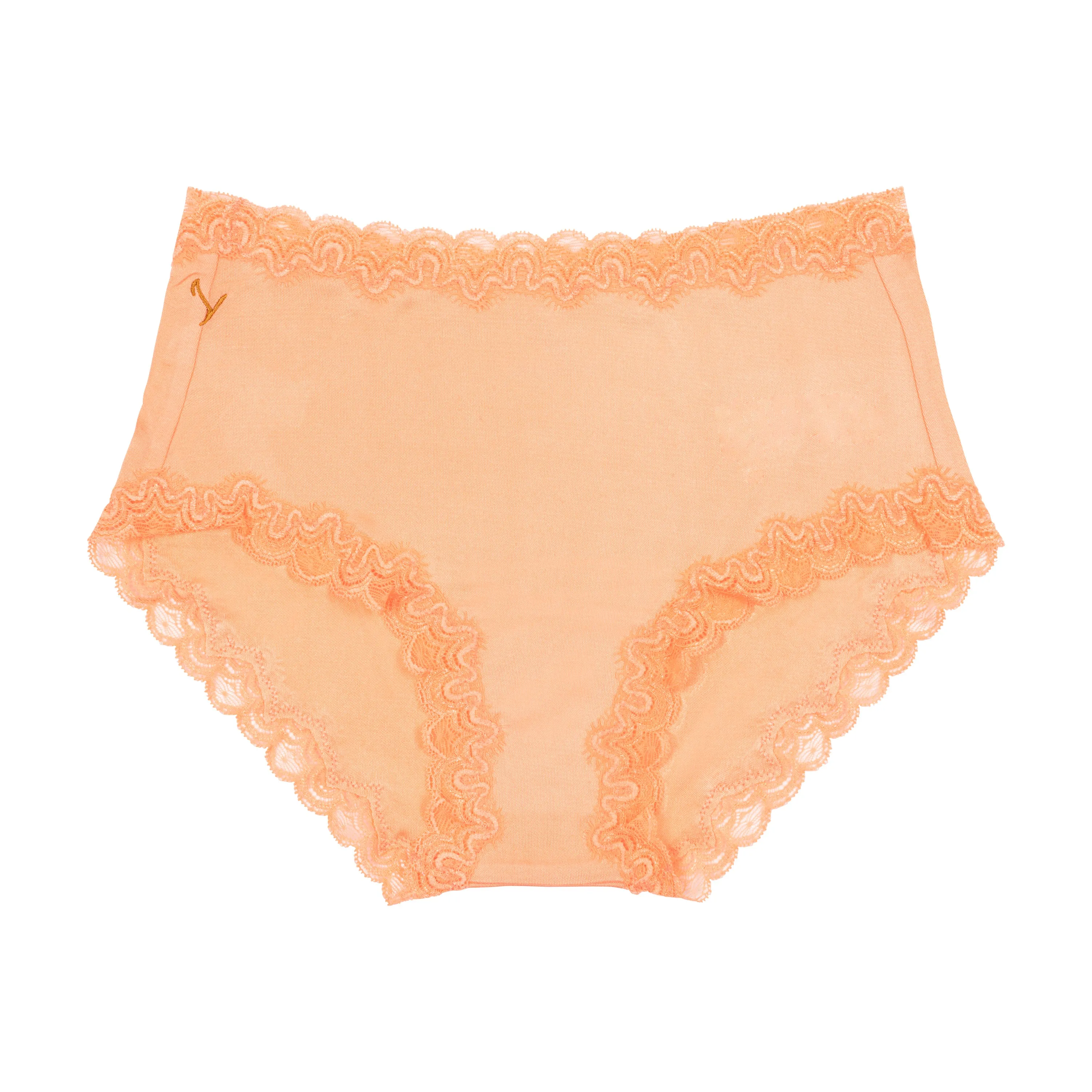 Customizable Soft Silk Briefs
