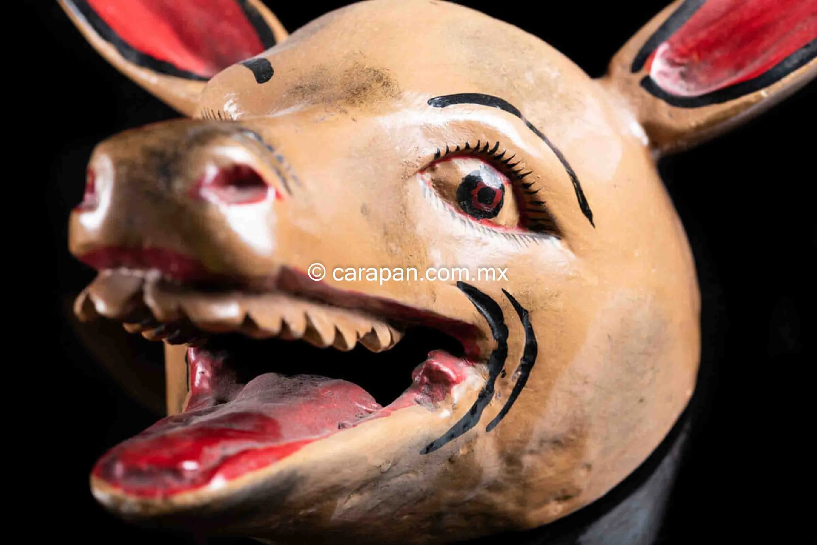 Donkey Wooden Mask from Guerrero, Mexico