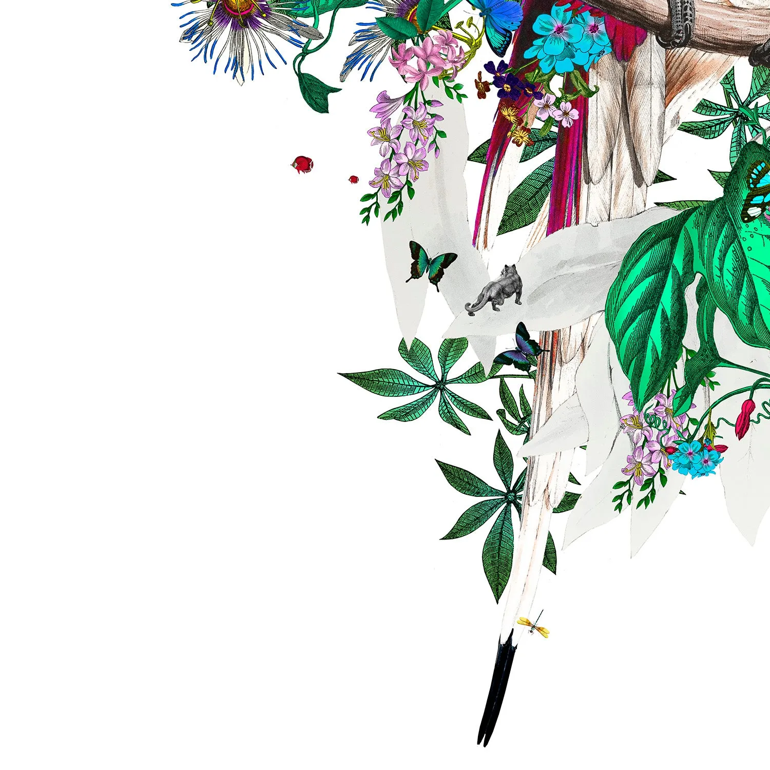 Flora & Fauna Lear - Neon White - Art Print