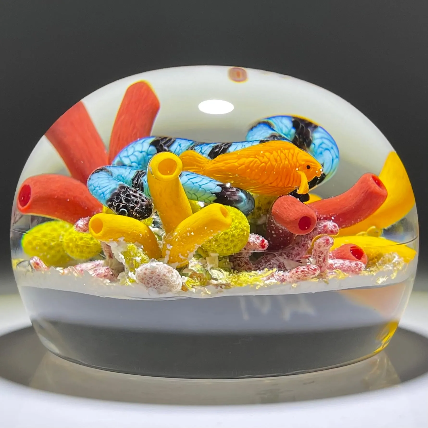 Gordon Smith 2021 Flamework Coral Reef Scene with Krait Sea Snake and Wrasse Fish