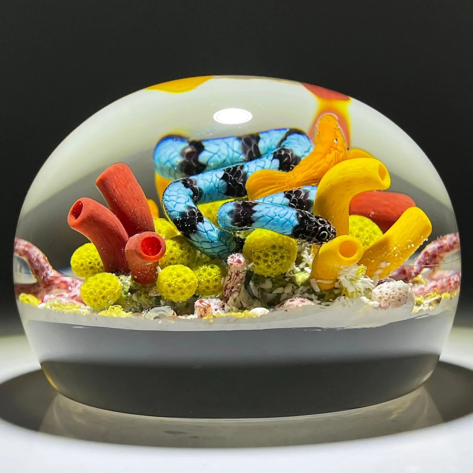 Gordon Smith 2021 Flamework Coral Reef Scene with Krait Sea Snake and Wrasse Fish