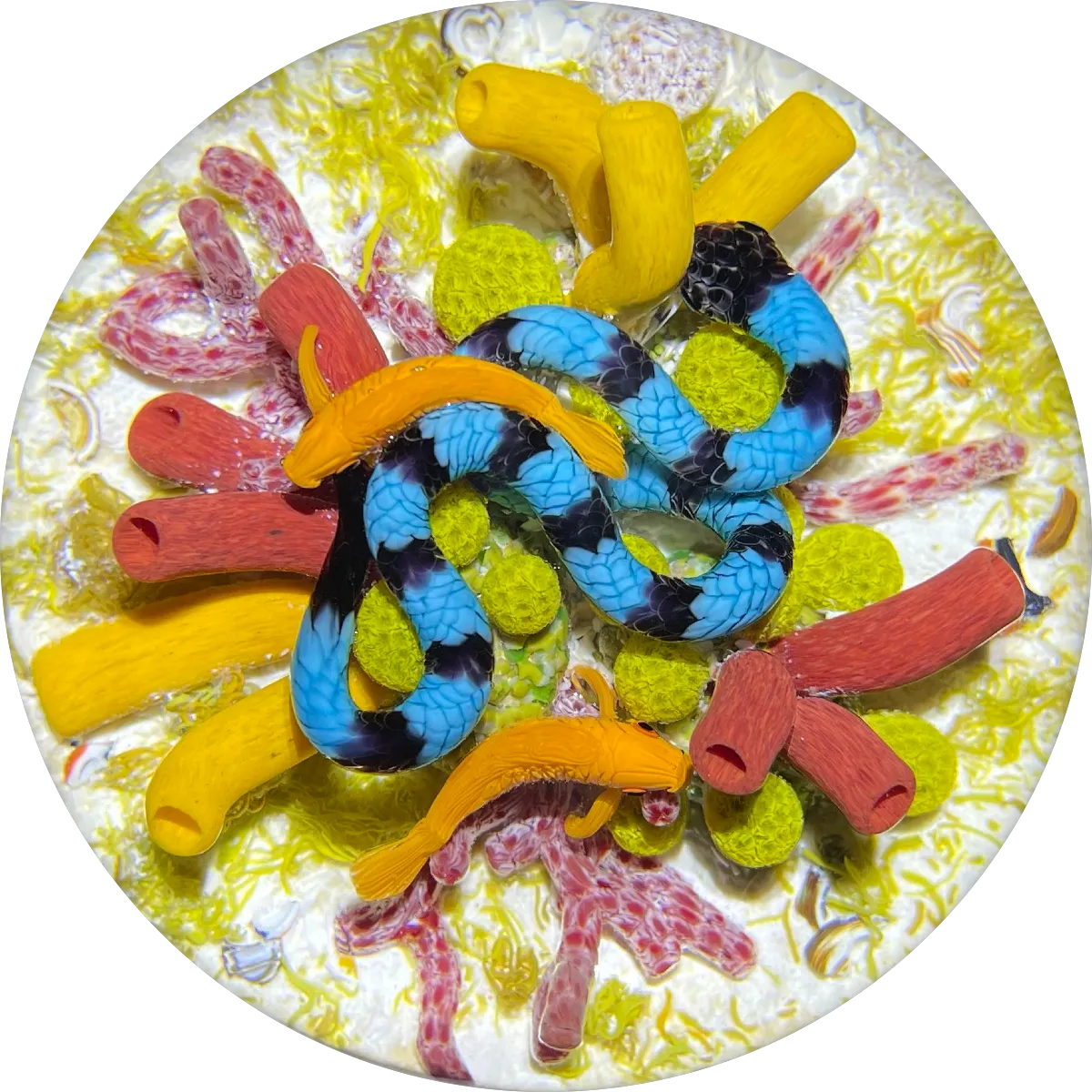 Gordon Smith 2021 Flamework Coral Reef Scene with Krait Sea Snake and Wrasse Fish