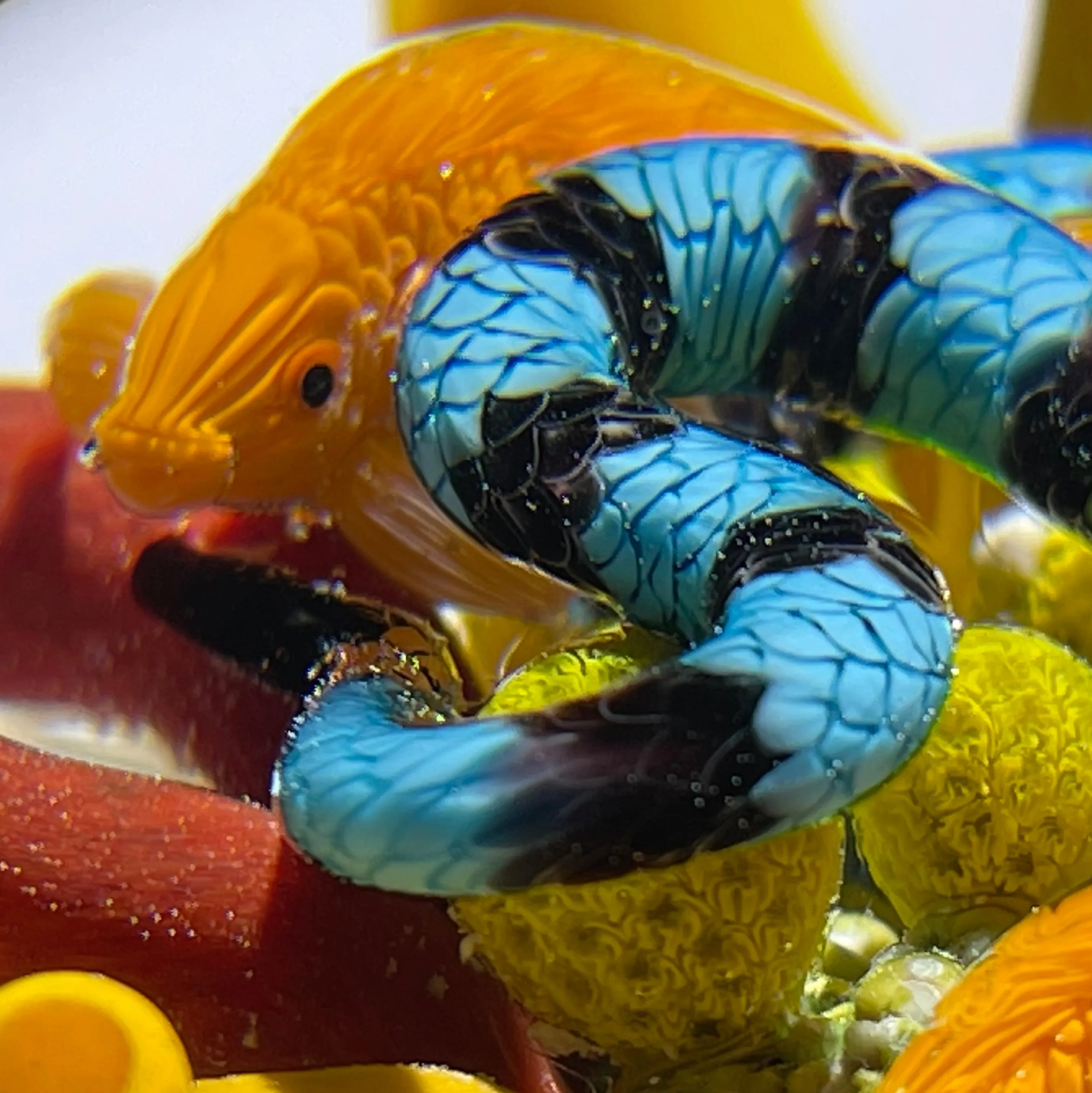 Gordon Smith 2021 Flamework Coral Reef Scene with Krait Sea Snake and Wrasse Fish