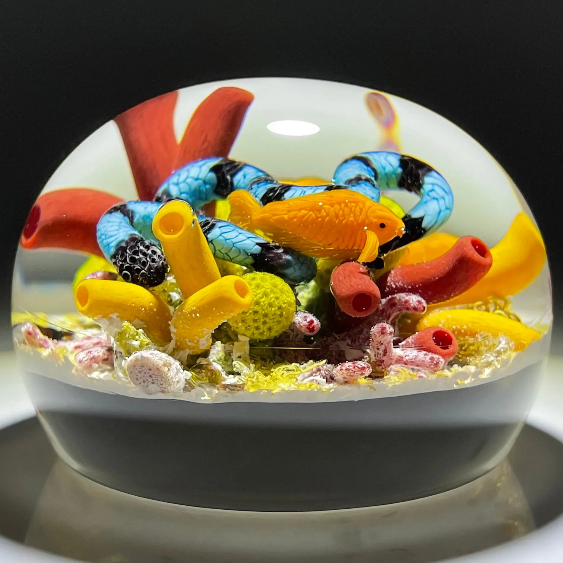 Gordon Smith 2021 Flamework Coral Reef Scene with Krait Sea Snake and Wrasse Fish