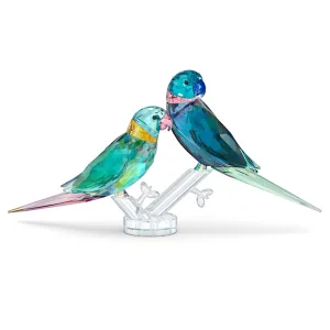 Jungle Beats Parakeet Couple Fife & Fifer 5577124