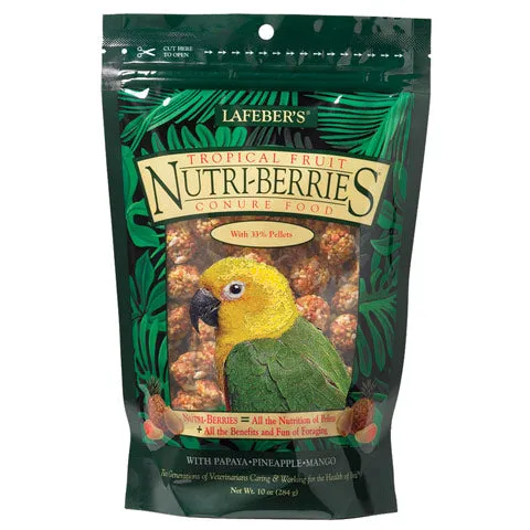 Lafeber Nutri-Berries Fruit for Conures