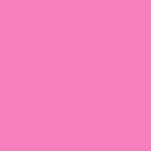 Matte/Gloss  Duo Sided - Piggy
