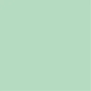 Matte/Gloss  Duo Sided - Pistachio