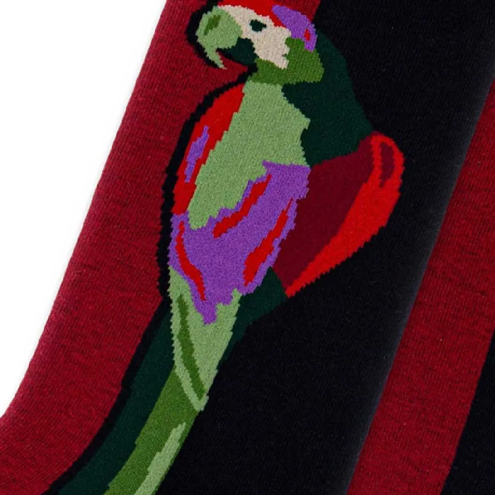 Parrot