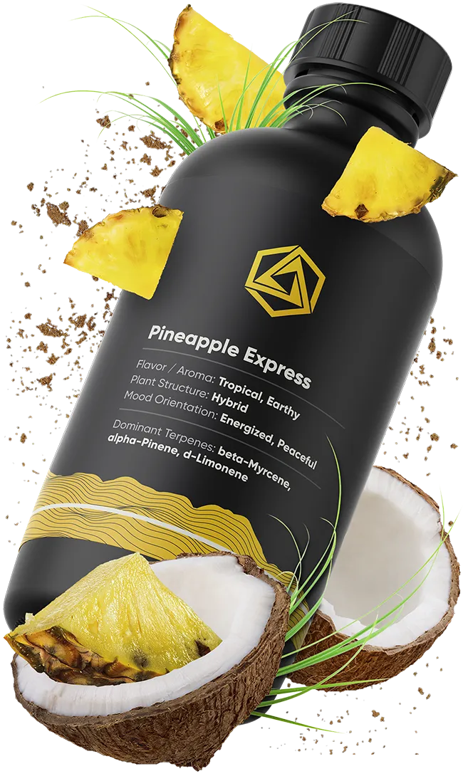 Pineapple Express