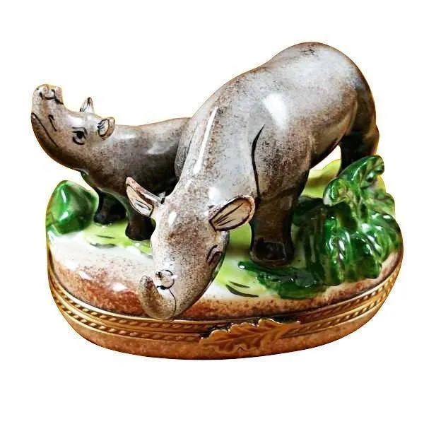 Rhino and Baby