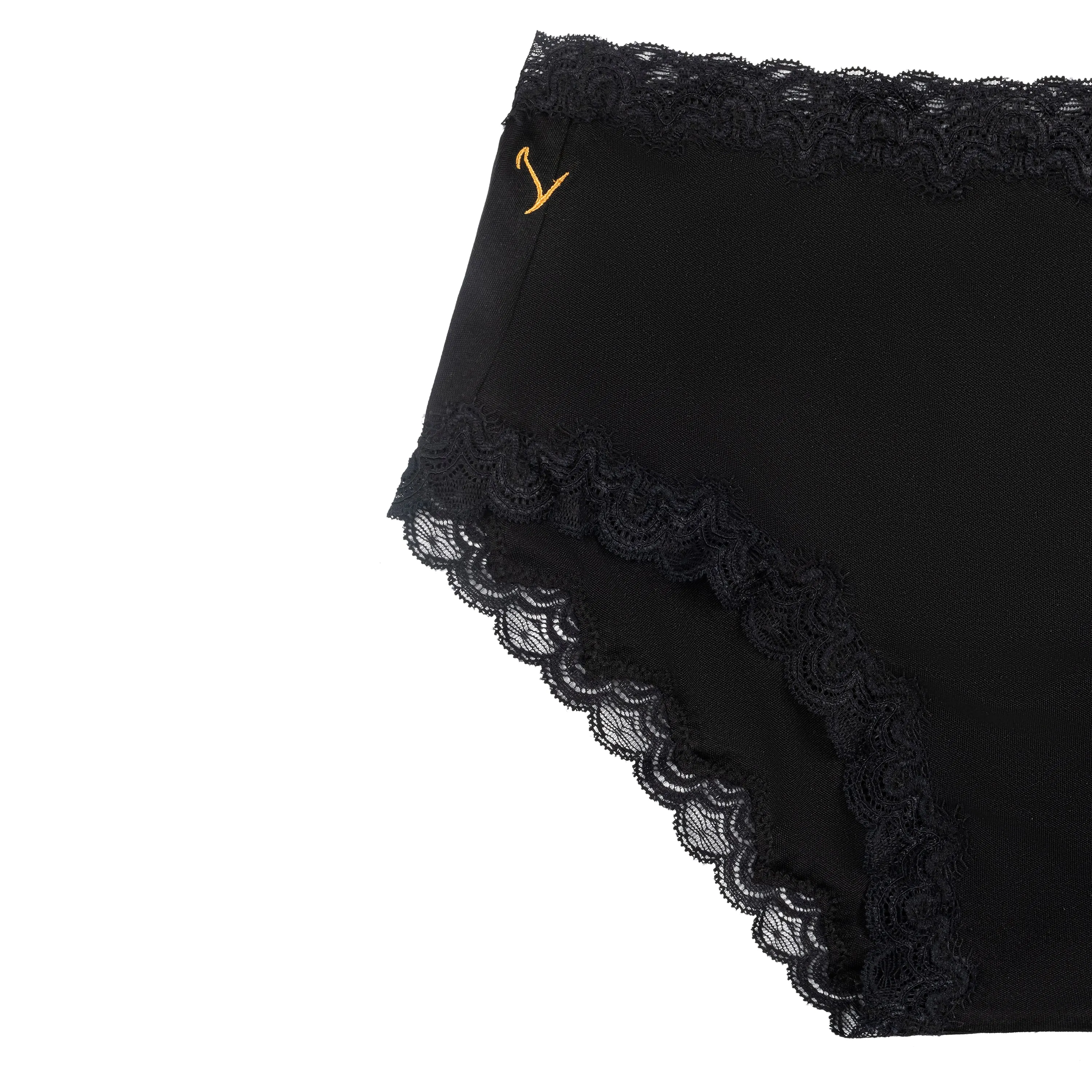 Soft Silk Briefs