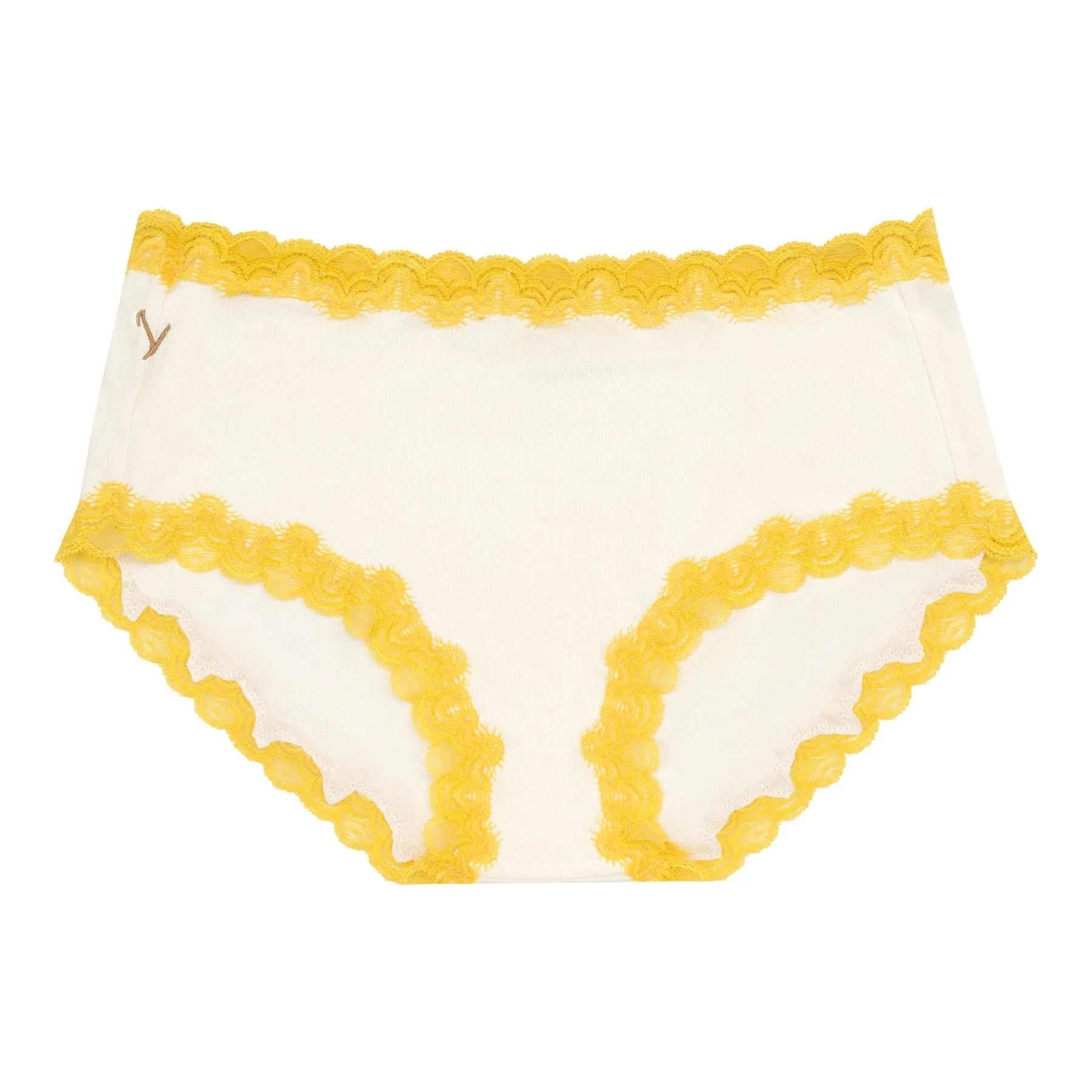 Soft Silk Briefs