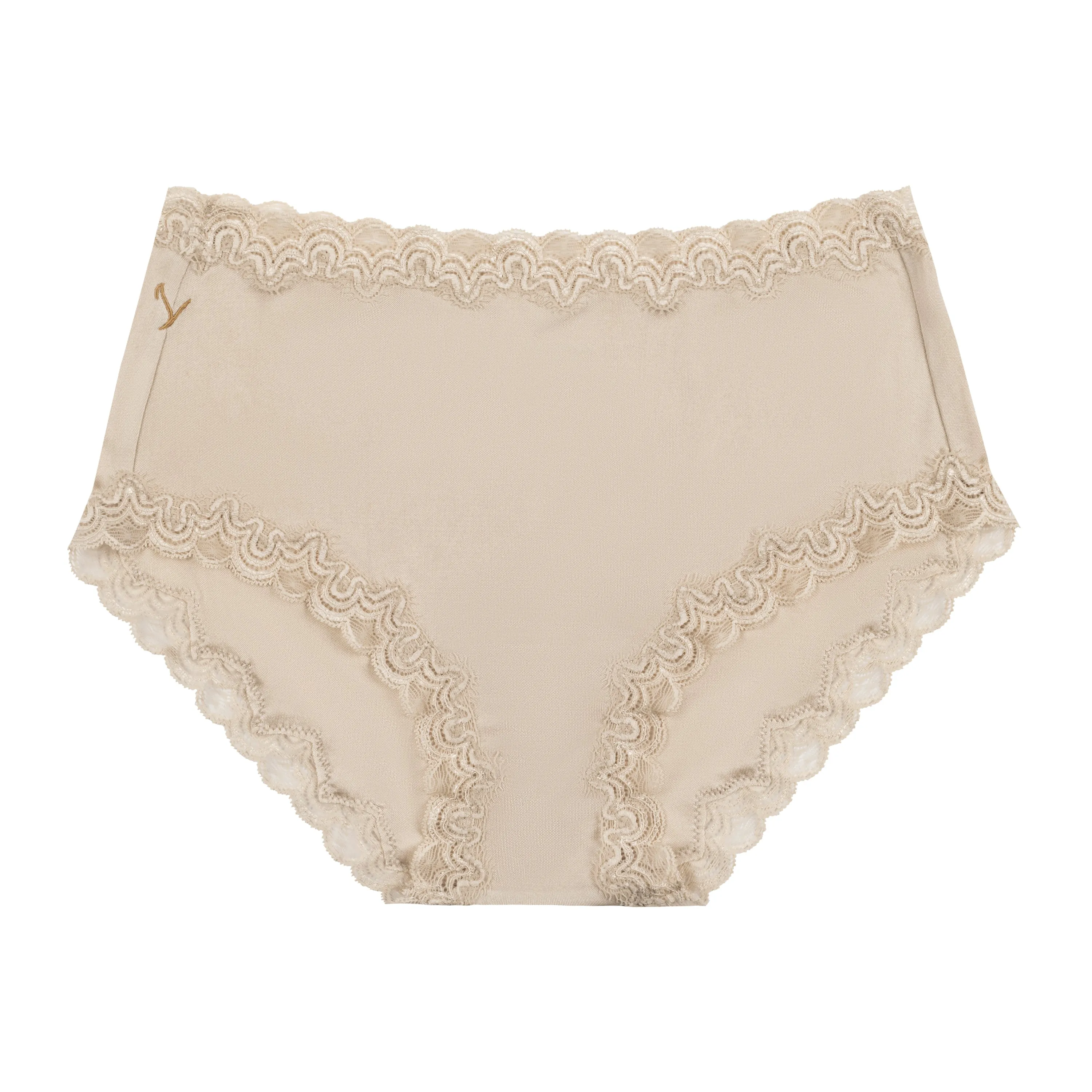 Soft Silk Briefs