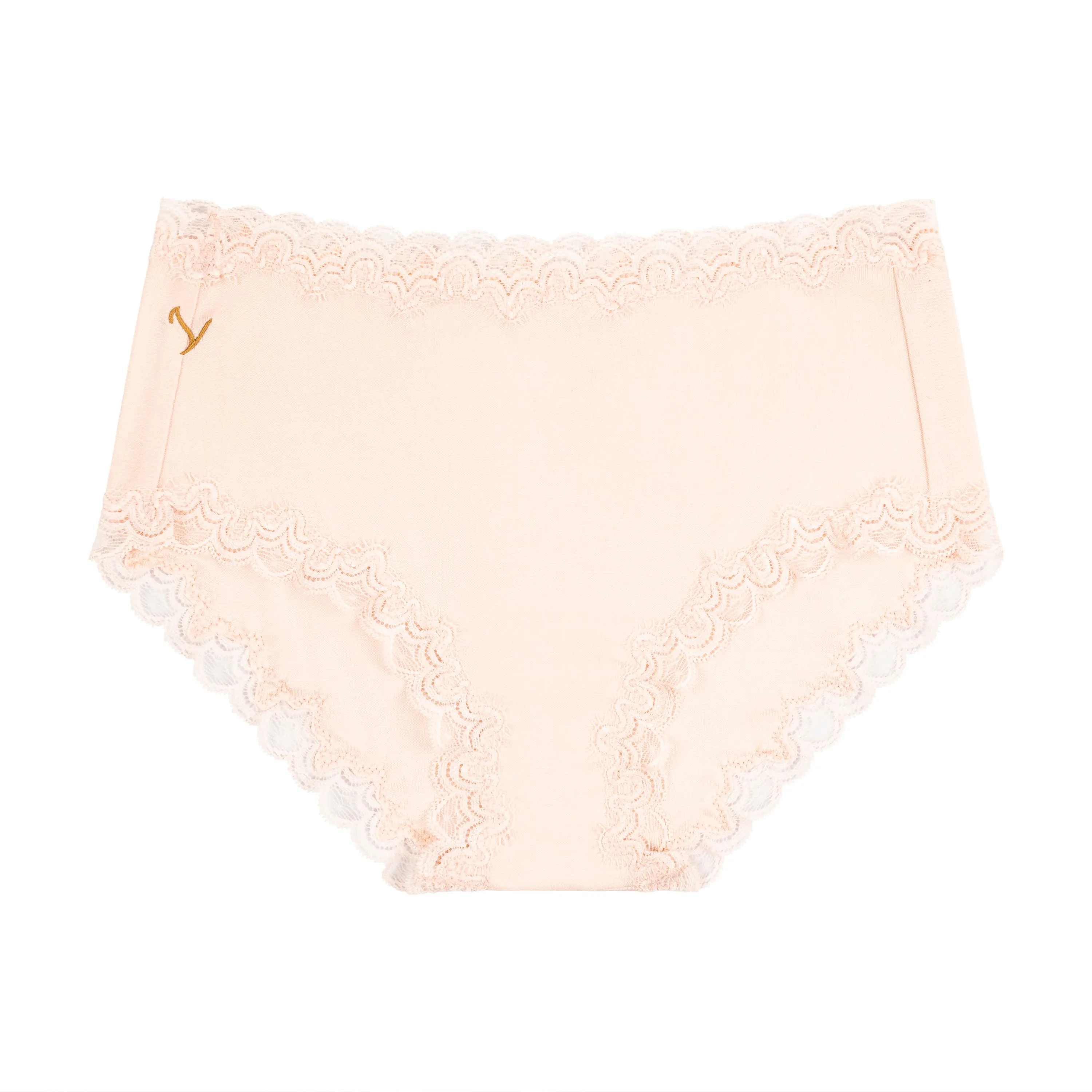 Soft Silk Briefs