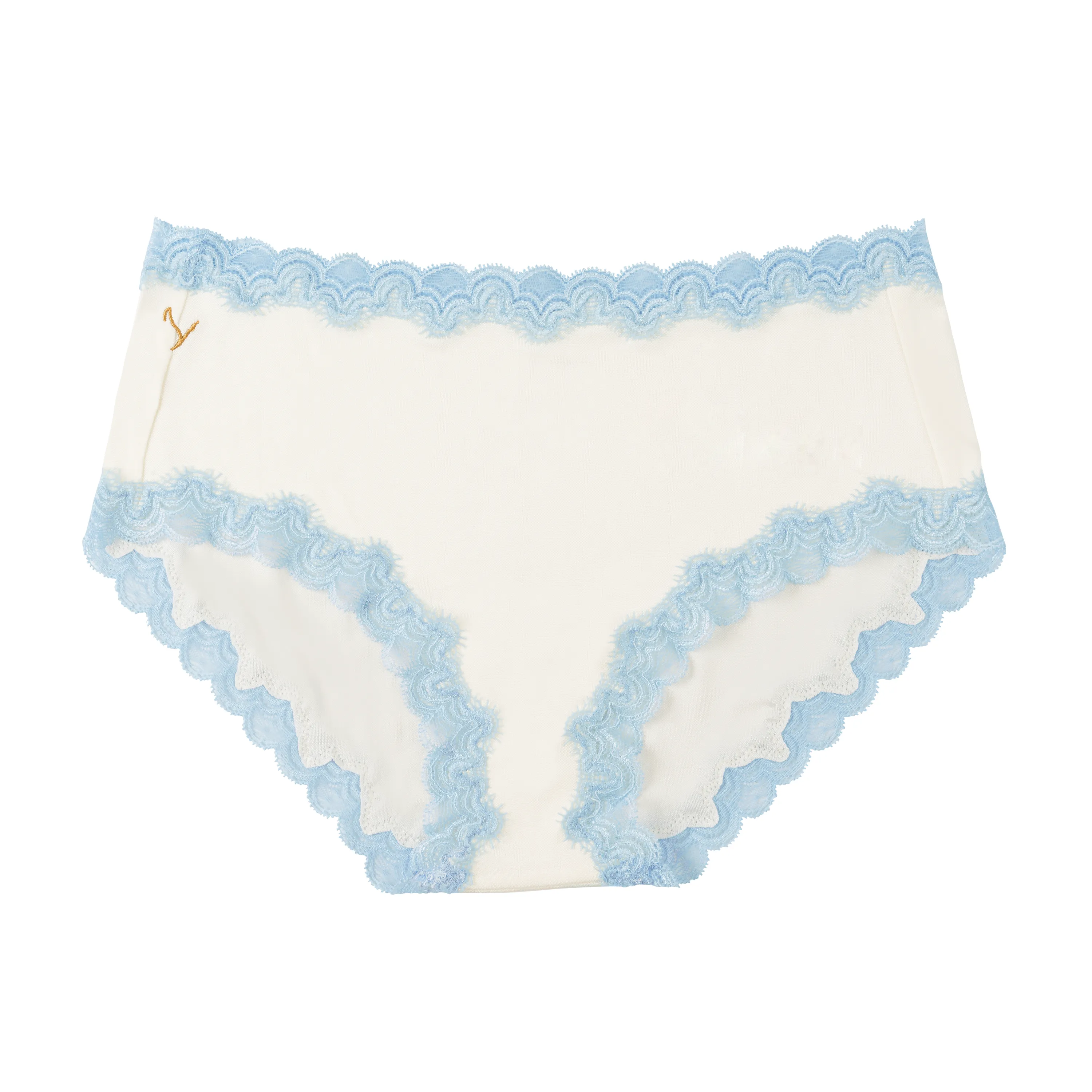 Soft Silk Briefs