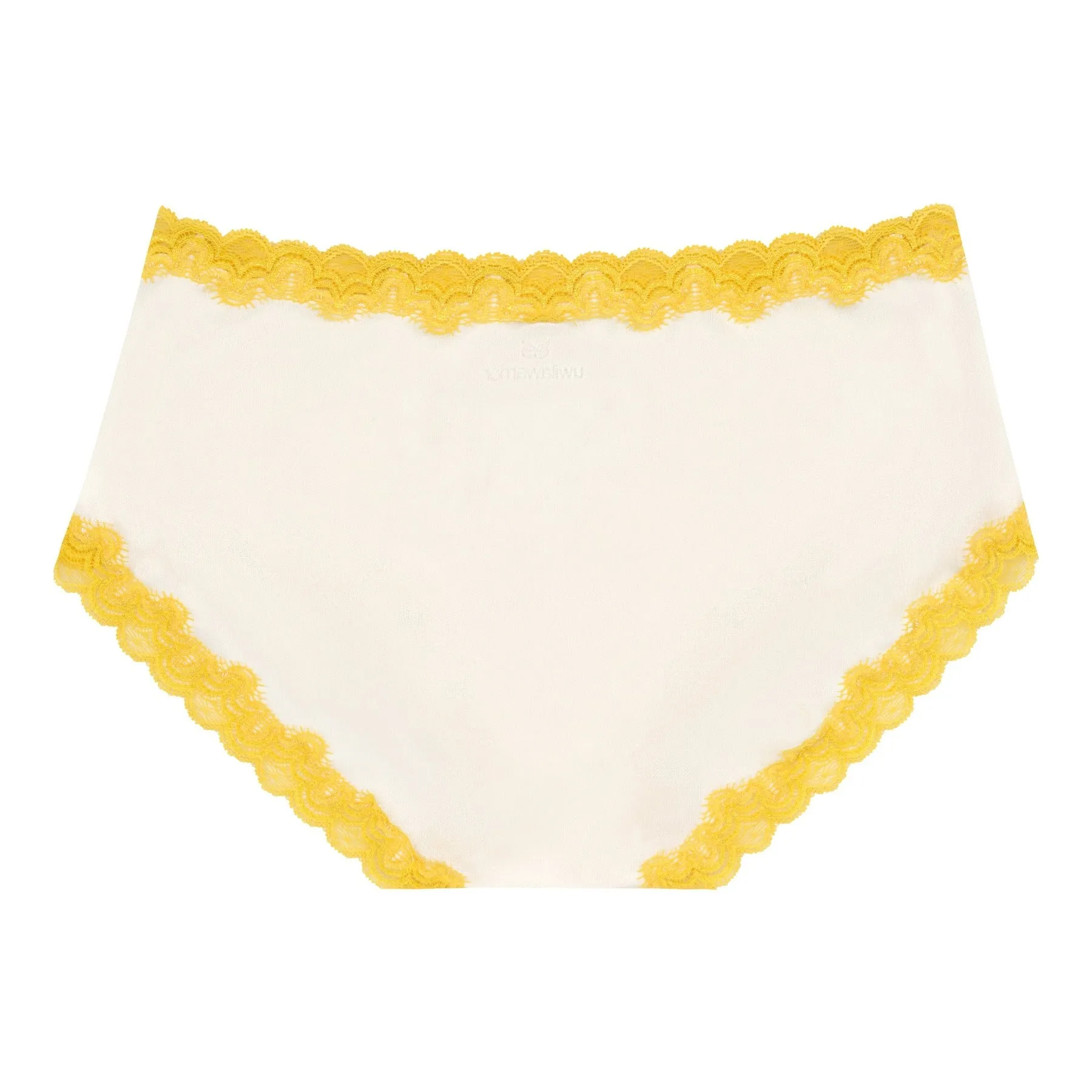 Soft Silk Briefs
