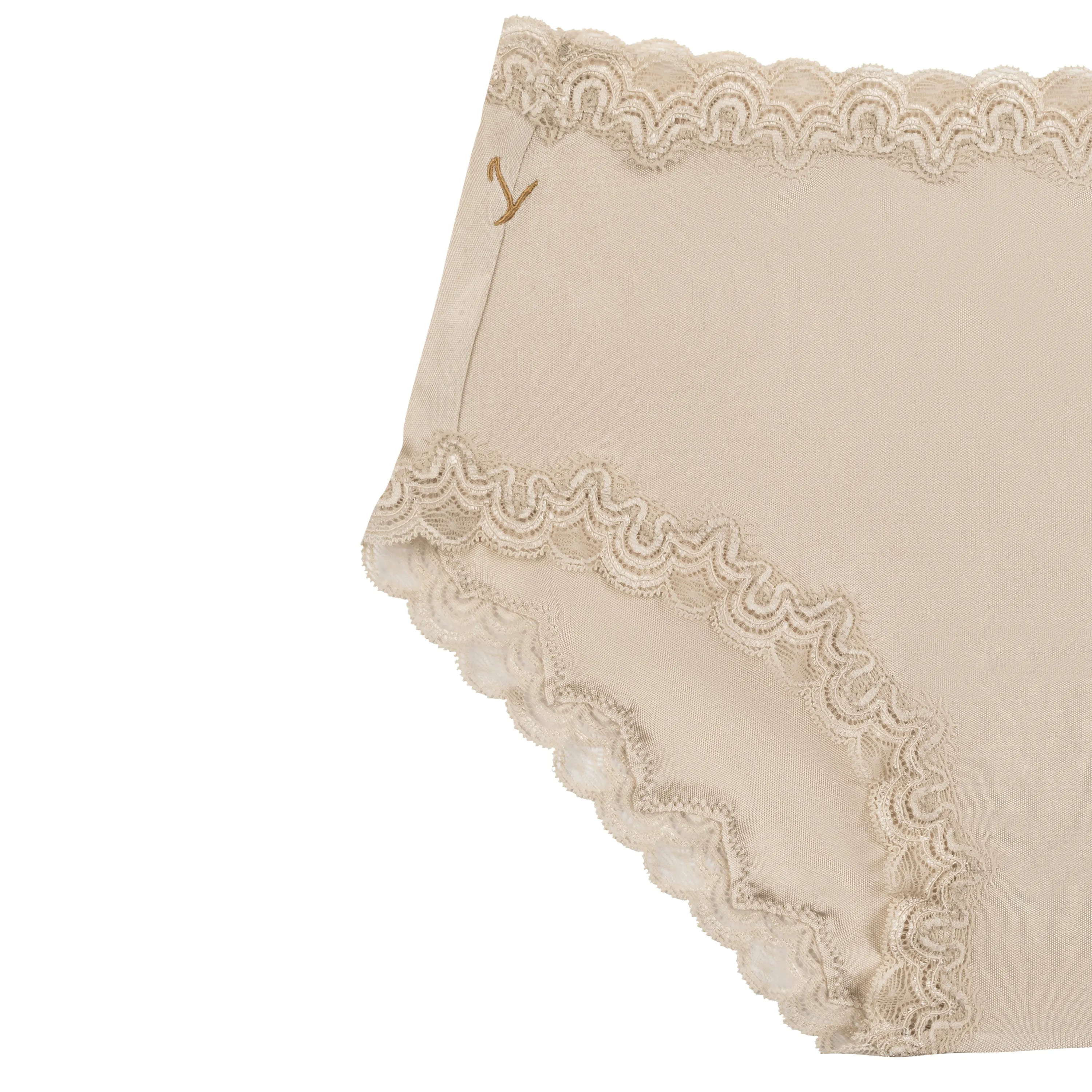 Soft Silk Briefs