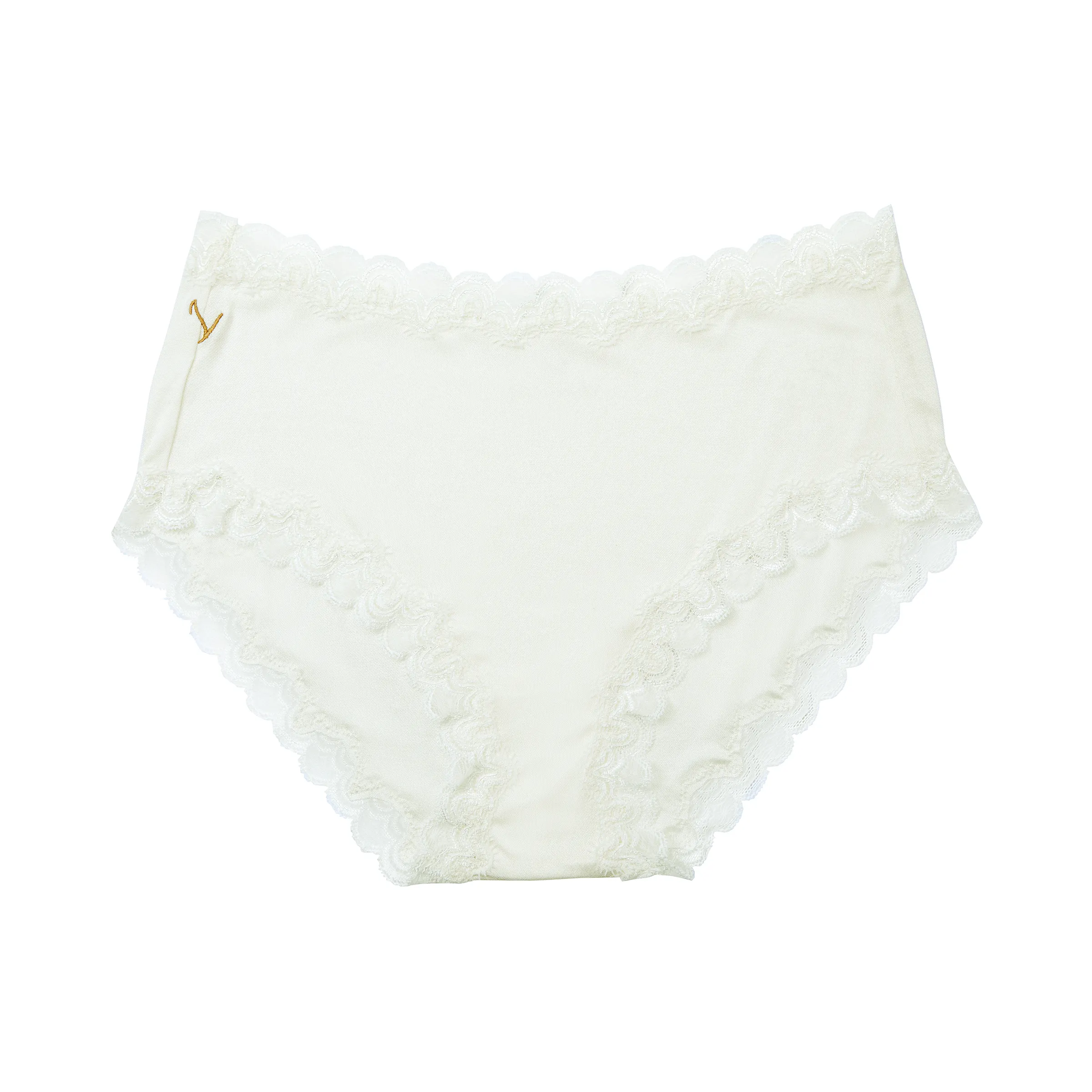 Soft Silk Briefs