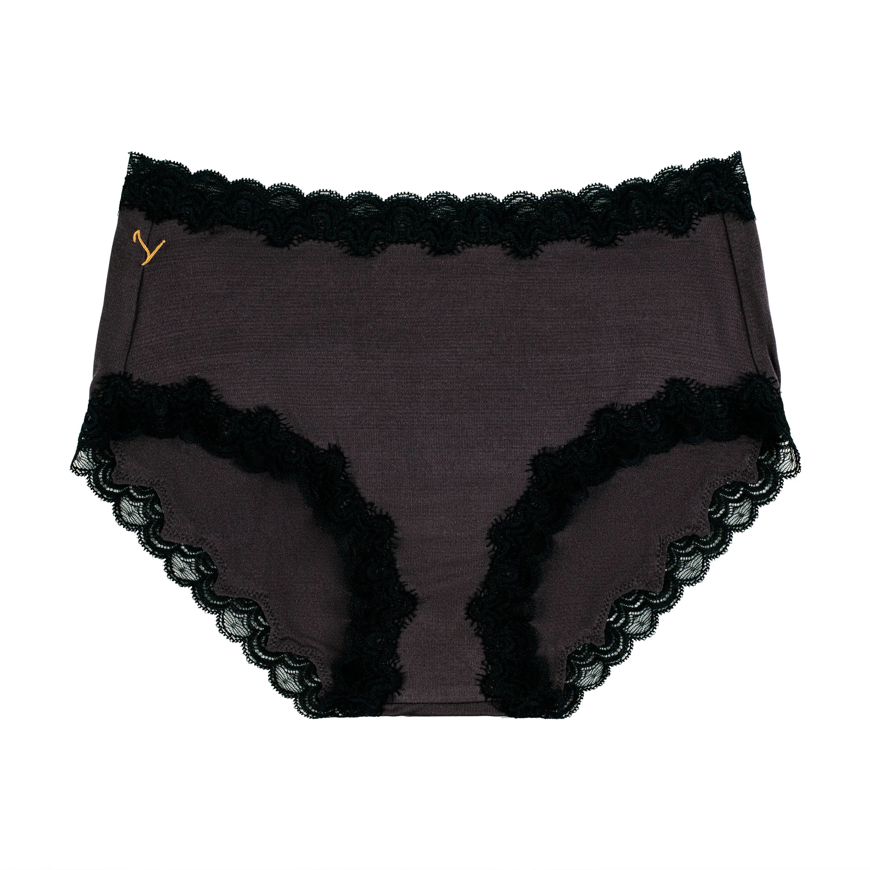 Soft Silk Briefs