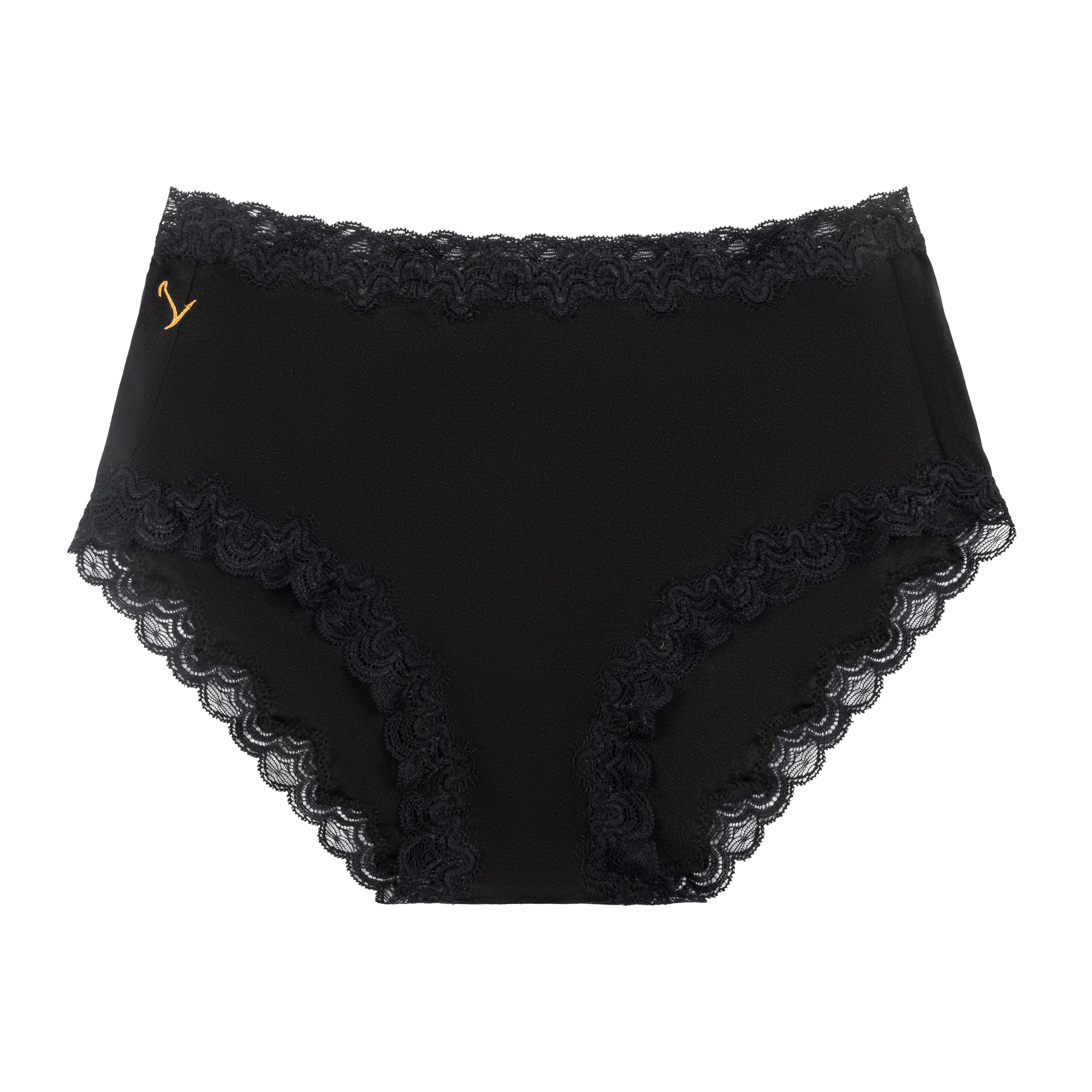 Soft Silk Briefs