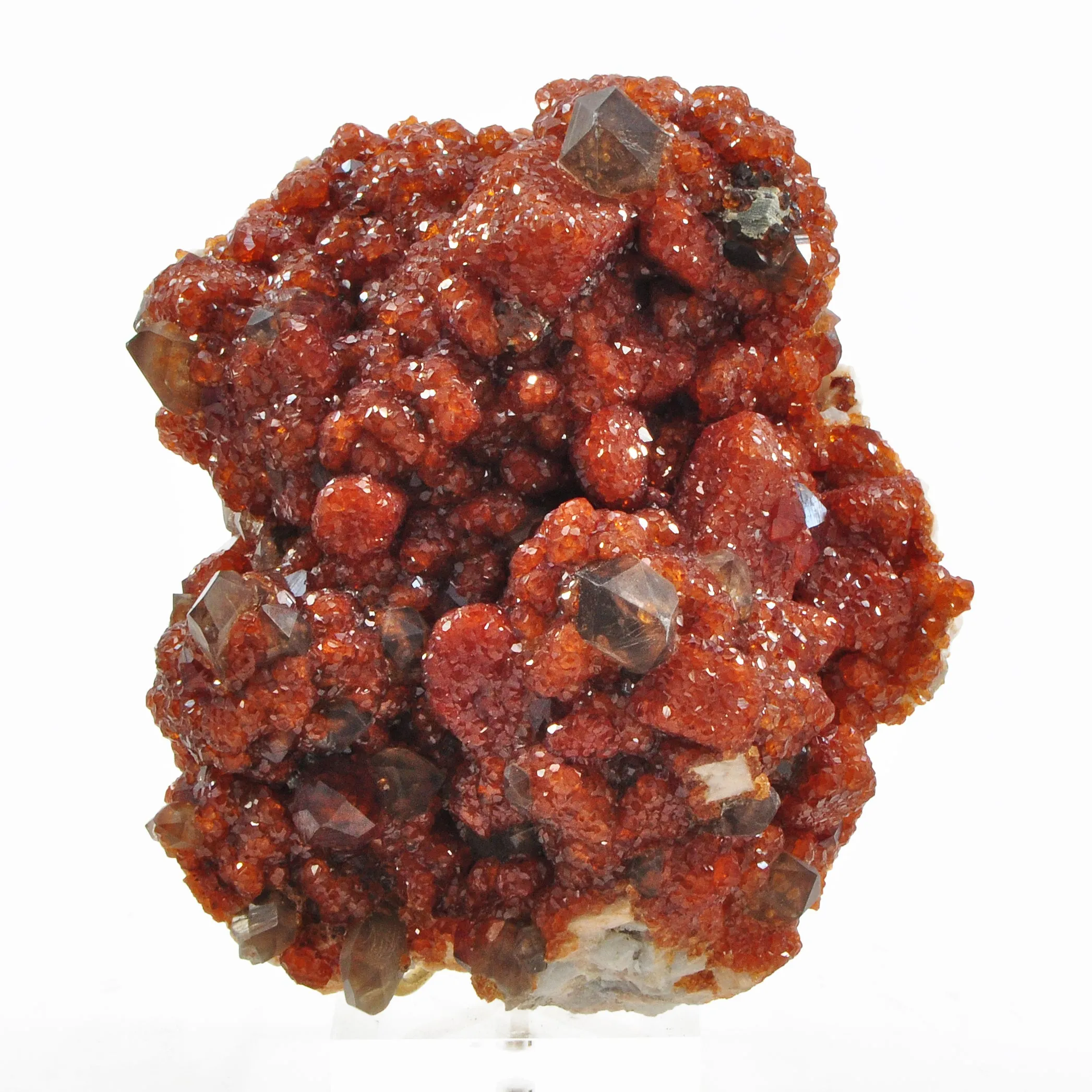 Spessartine Garnet over Smoky Quartz 4.27 inch 1.21lbs Natural Crystal Cluster - China
