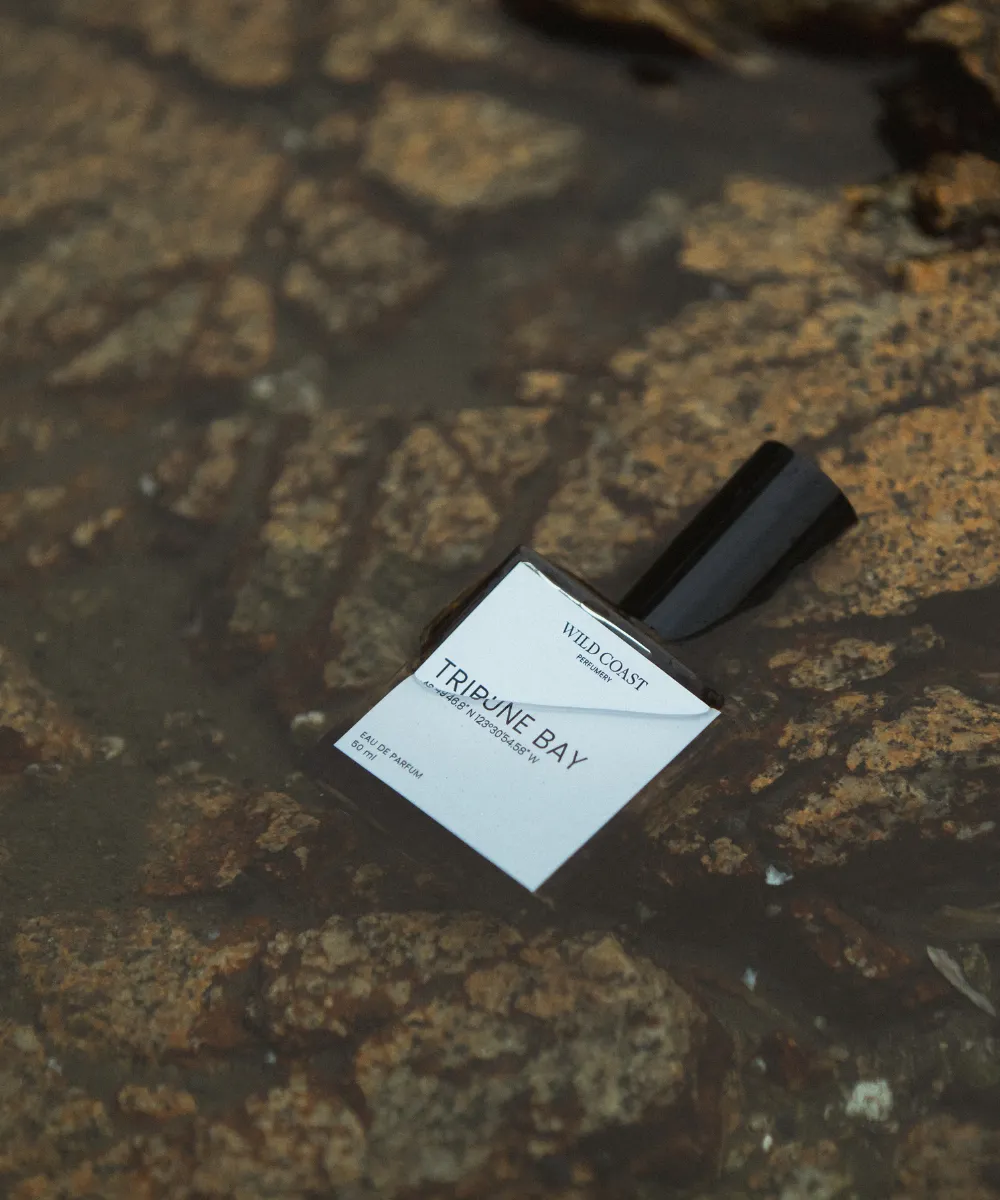 Tribune Bay - Eau de Parfum