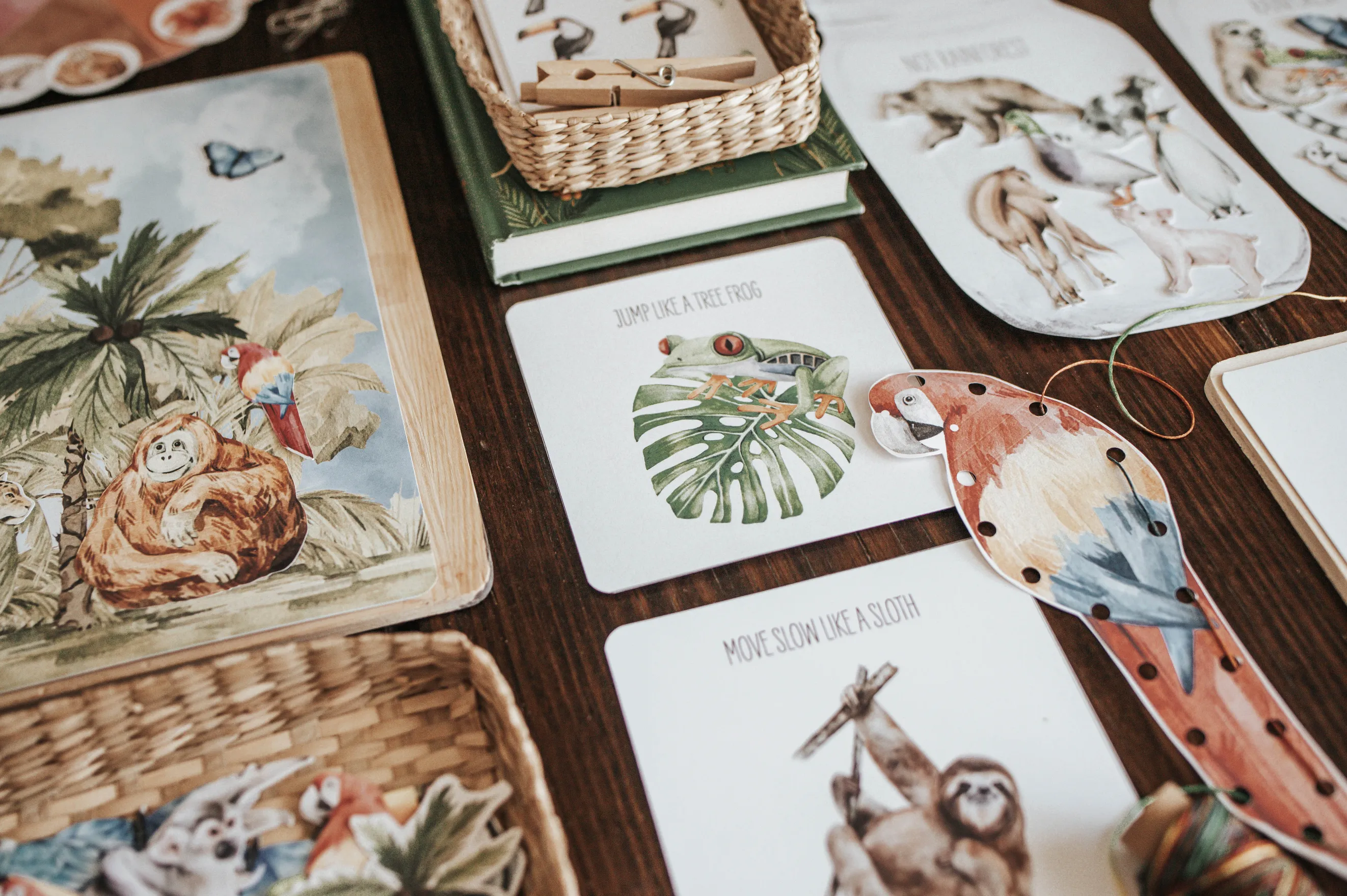Tropical Ecology Morning Basket