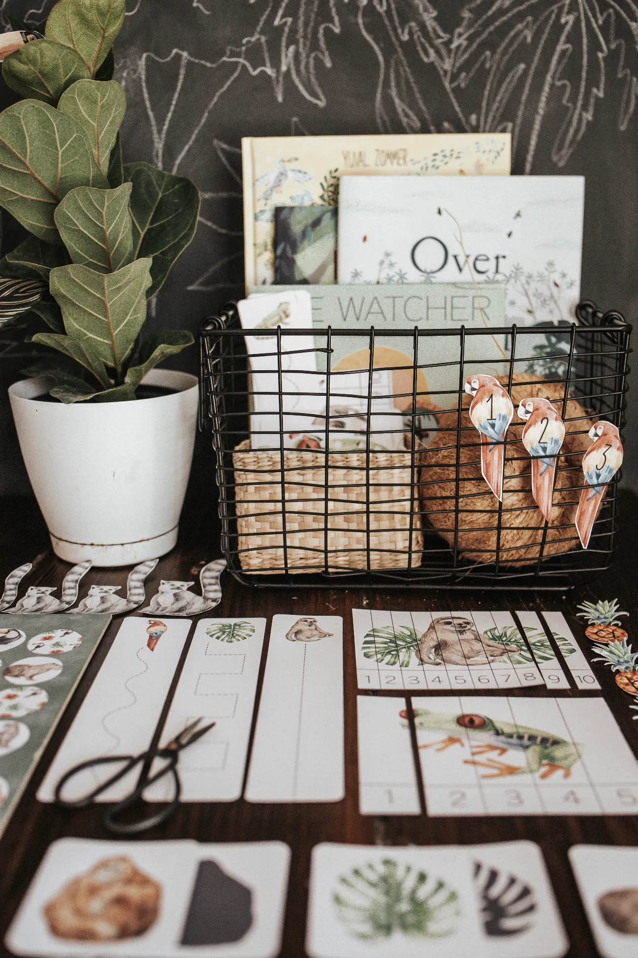 Tropical Ecology Morning Basket
