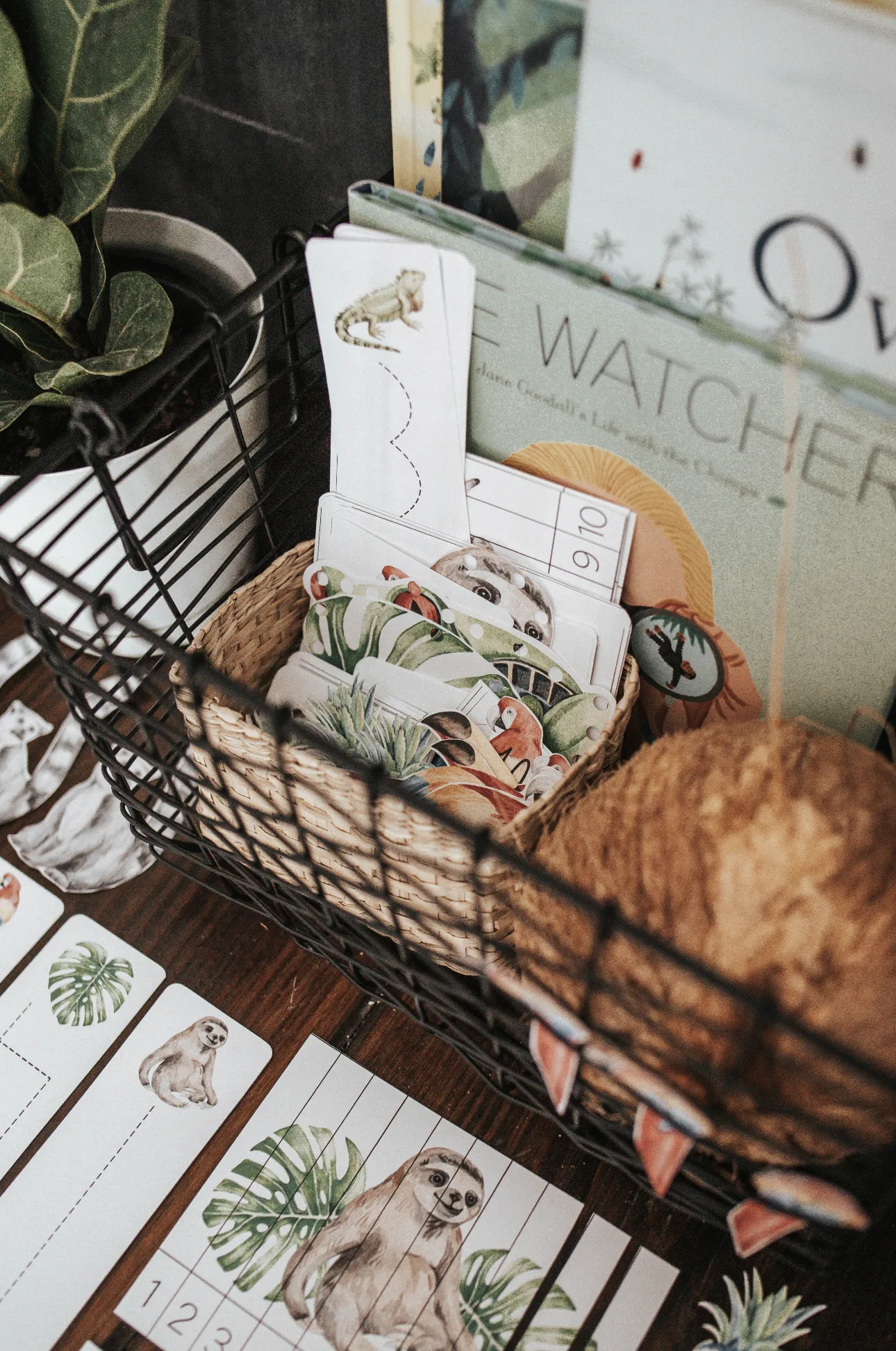 Tropical Ecology Morning Basket